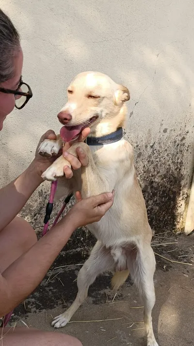 Lola, adopted