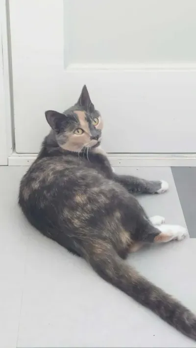 Lucy, adopted