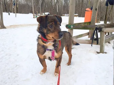 Lilian, adopted