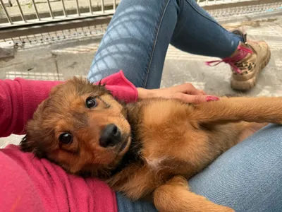 Bogusia, adopted