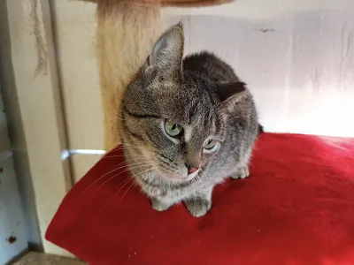 Fiona, adopted