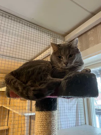 March, adopted