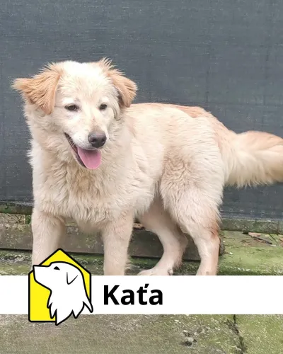Kaťa, adopted