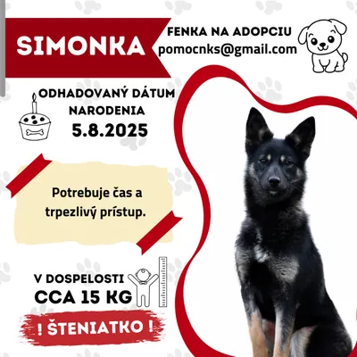 SIMONKA, adopted