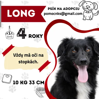 LONG, adopted