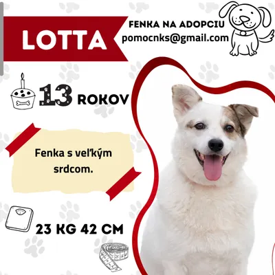 LOTTA, adopted