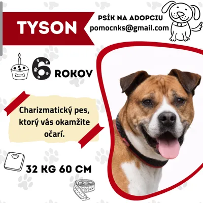 TYSON, adopted
