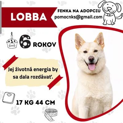 LOBBA, adopted