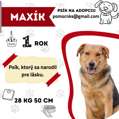 MAXÍK, adopted