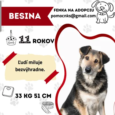 BESINA, adopted