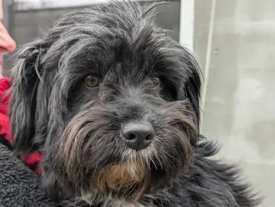 AGÁTKA, adopted